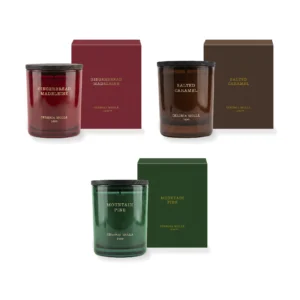 Velas perfumadas de Navidad Cerería Mollá con su caja individual en los aromas Gingerbread Madeleine, Salted Caramel y Mountain Pine